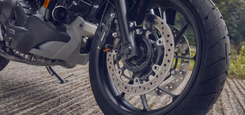 Freio a disco dianteiro duplo